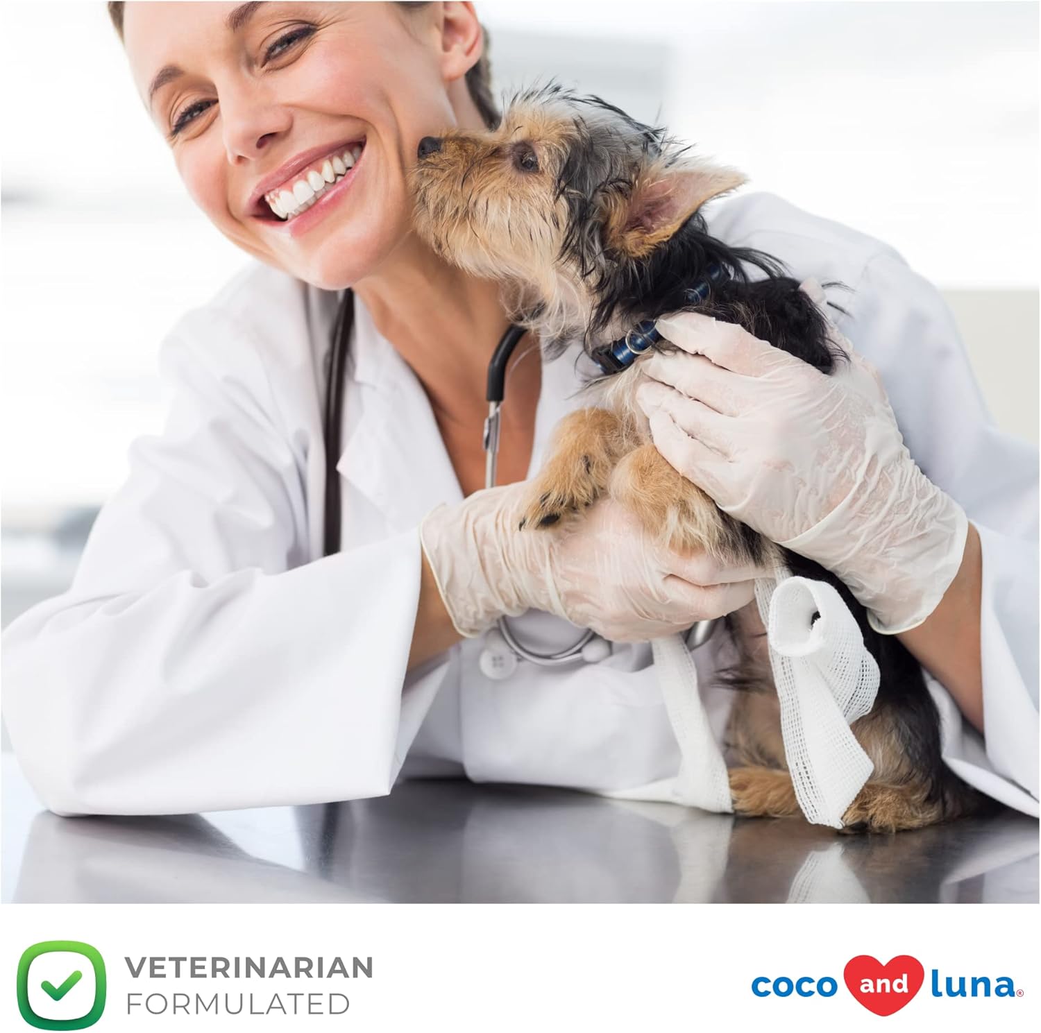 Same and Silybin for Dogs - S-Adenosyl-L-Methionine, Same for Dogs, Liver Supplements for Dogs, Brain Supplement for Dogs, Dog Liver Support Supplement (Same+Silybin, Small Dogs (Under 14 lbs)) : Pet Supplies