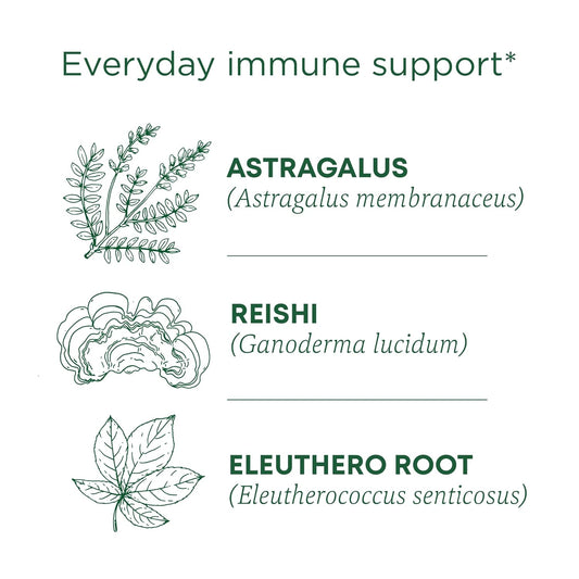 Traditional Medicinals Tea, Organic Stress Ease Immune With Adaptogens, Everyday Immune Support, Reishi Warming Spice, 16 Tea Bags