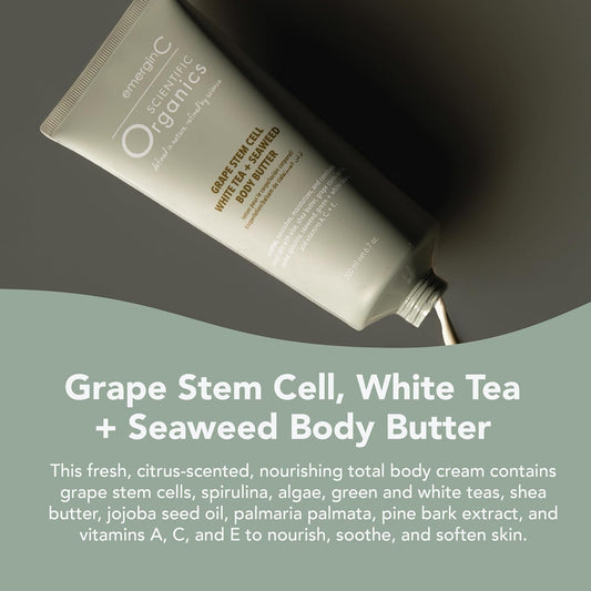 Scientific Organics Grape Stem Cell, White Tea + Seaweed Body Butter - Nourishing Plant Stem Cell Cream With Vitamins A, C, E For Dry Skin (6.7 Oz, 200 Ml)