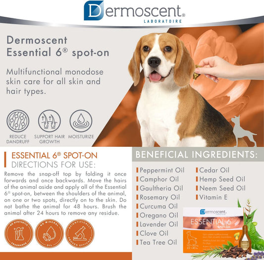 Dermoscent Essential 6 spot-on - Dog Skin Care for Dandruff & Allergy Relief with Vitamin E Oil - Anti Itch for Dogs - Natural Ingredients for Sensitive Skin - Dogs 10-20 kg - 4 Pipettes of 1.2 ml