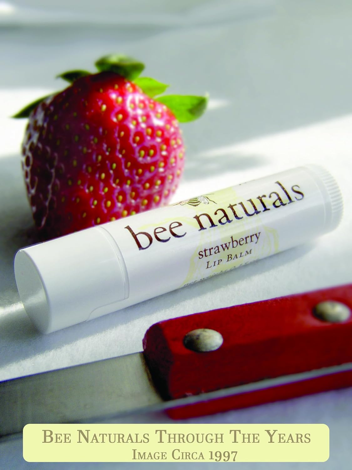 Bee Naturals Lip Balm -Variety Pack of 4- Beeswax, Cocoa Butter & Vitamin E Moisturizer for Dry, Chapped Lips Soothe, Heal, and Protect : Beauty & Personal Care