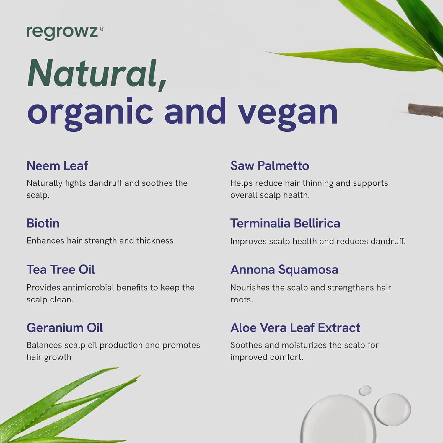 Regrowz Anti Dandruff Shampoo 7.6Fl Oz - For Dry, Itchy Scalp - Itch Relief Treatment & Removes Flakes - Moisturises For Healthy Vibrant Hair : Beauty & Personal Care