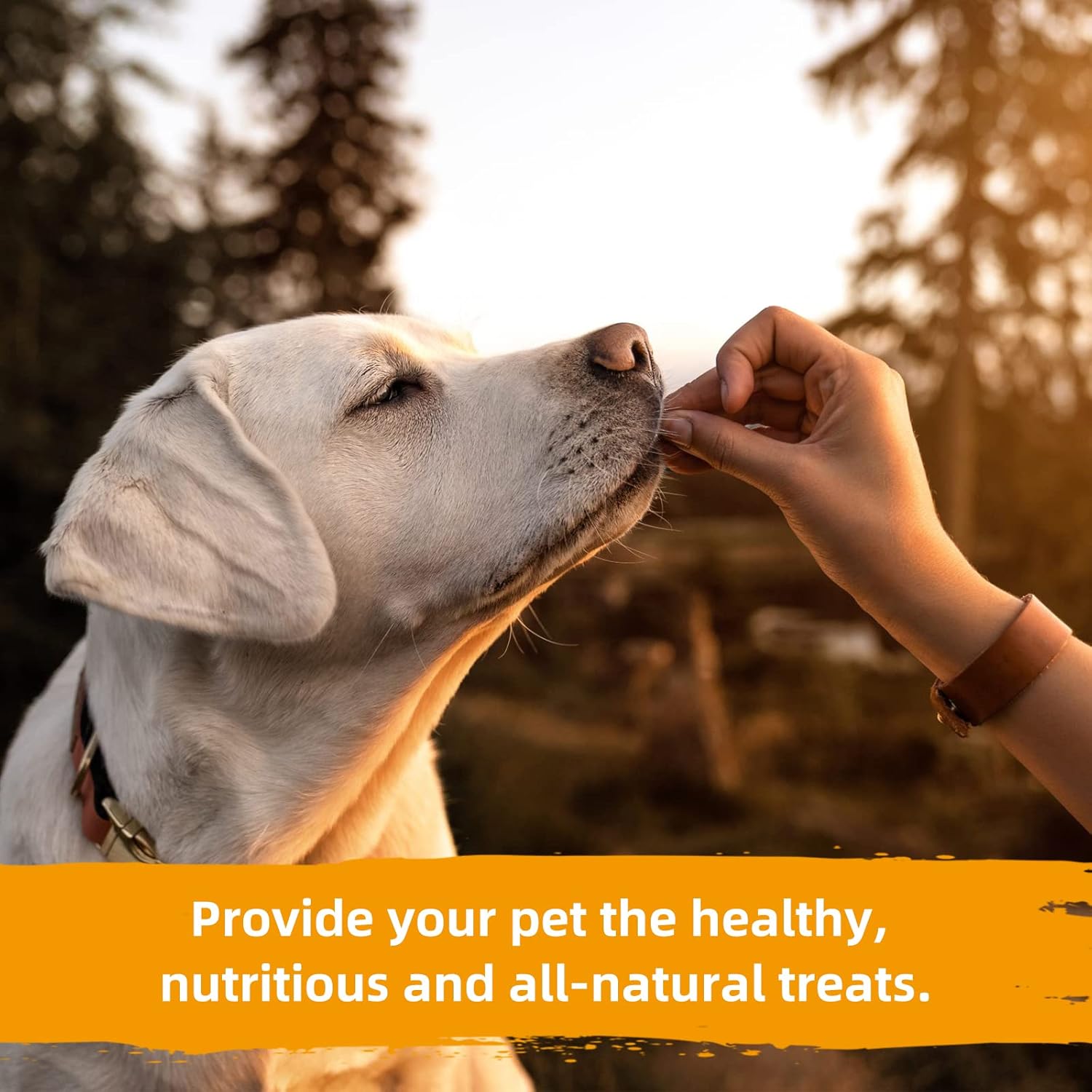 Jungle Calling Dog Treats, Chicken Jerky Dog Treats, High Protein Grain Free Rawhide Free Dog Chews, Slow Roasted Chicken Fillets for Dogs, 10.6 oz : Pet Supplies
