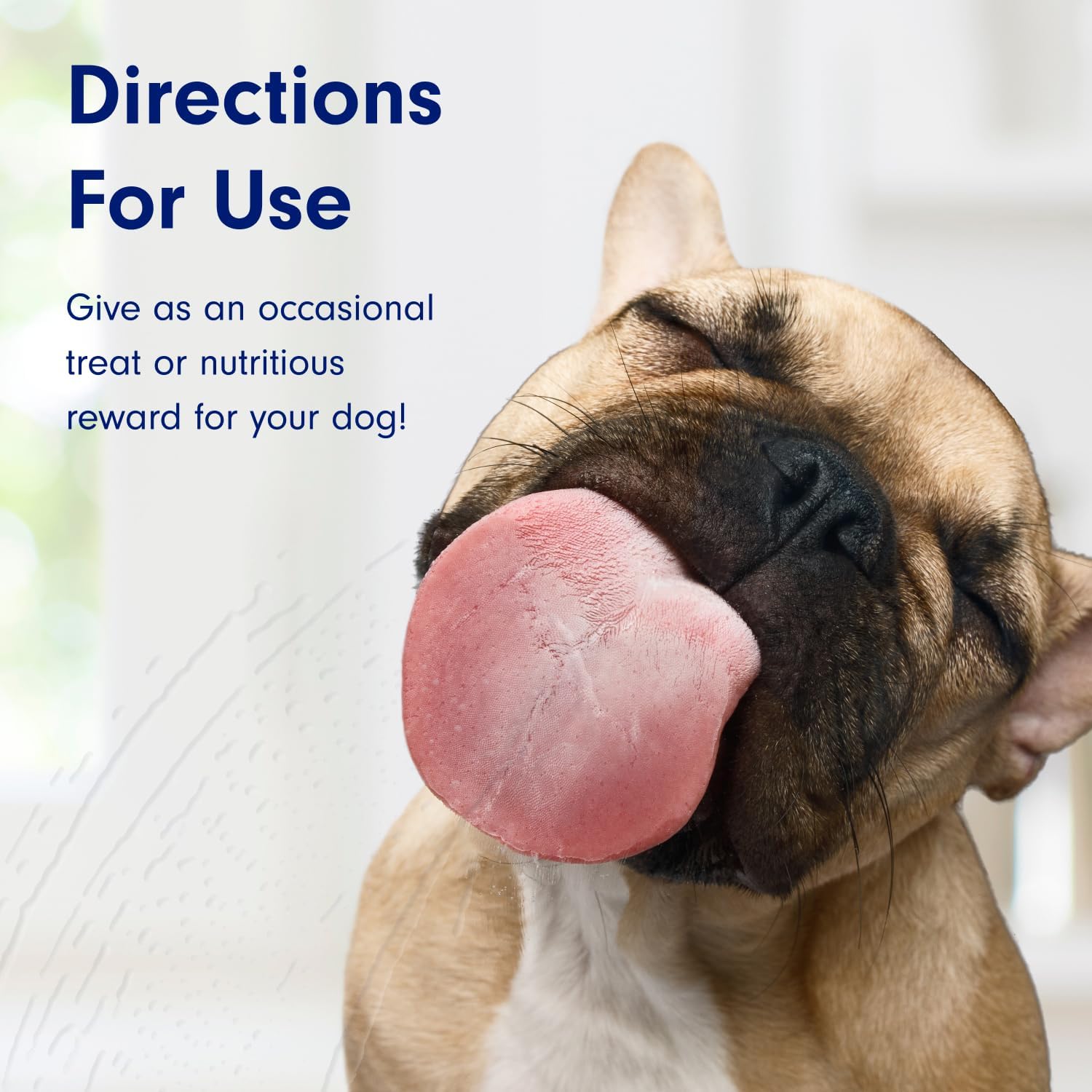 Petlab Co. Digestive Support Bites - Dog Training Treats - Chewy Dog Treats to Support Gut Health - Training Treats for Dogs - Premium Ingredients and Nutritional Benefits - Delicious Puppy Treats : Pet Supplies