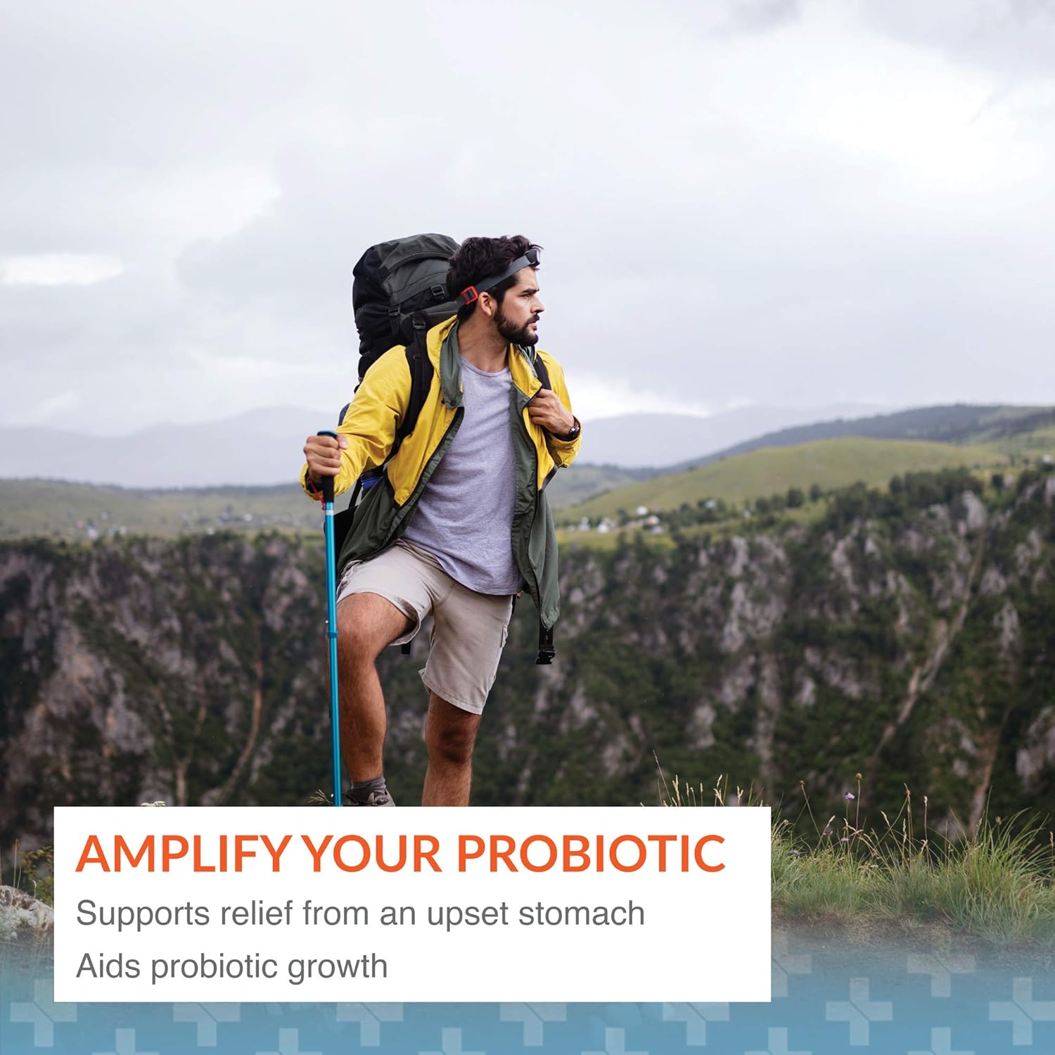 Arthur Andrew Medical, Floraphage, Prebiotic Formula And Probiotic Multiplier, 30 Capsules : Health & Household