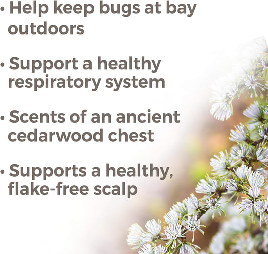 Plant Therapy Atlas Cedarwood Essential Oil 30 Ml (1 Oz) 100% Pure, Undiluted, Therapeutic Grade