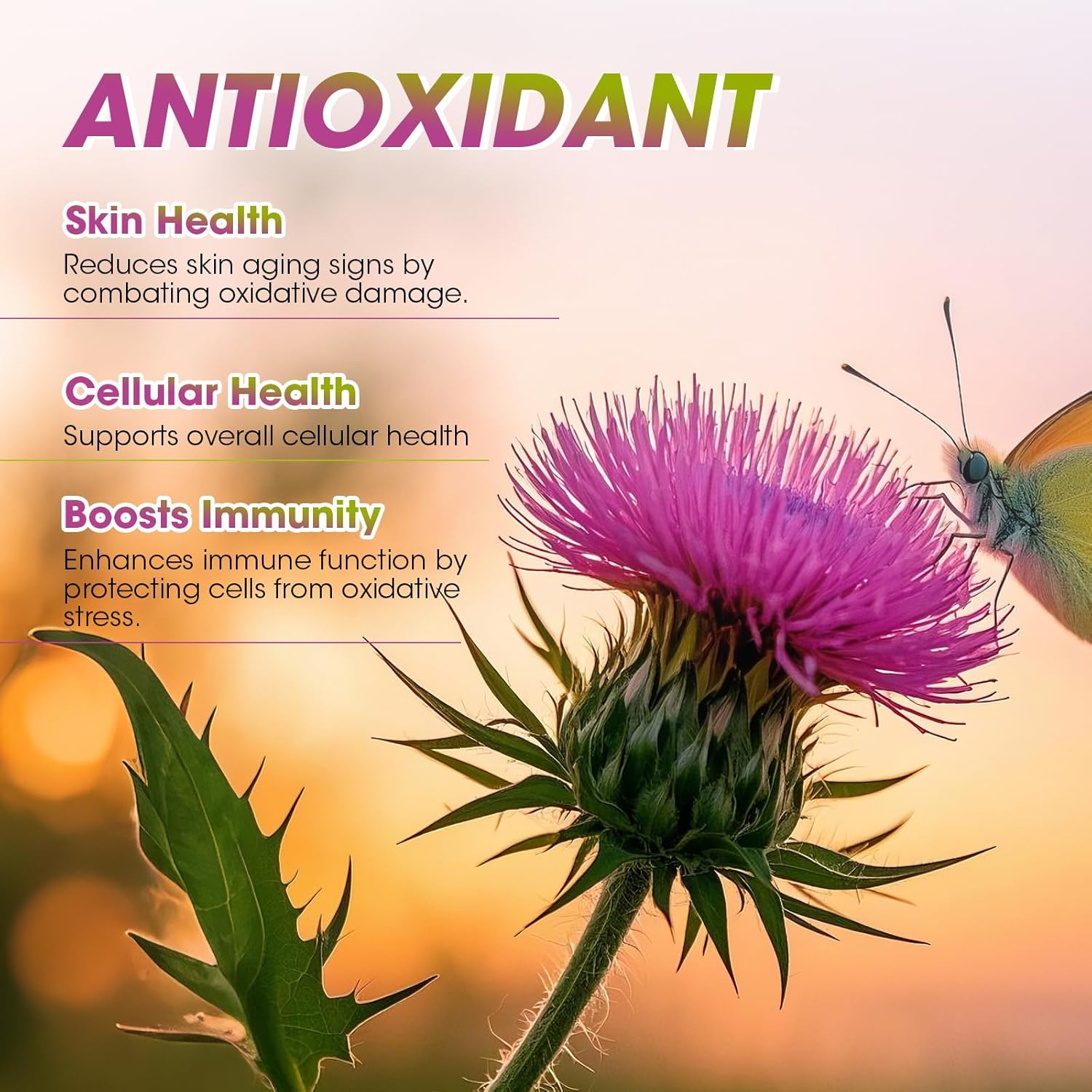 Milk Thistle Drops With Moringa - Milk Thistle Extract Liquid For Liver Cleanse Detox & Repair, Immune Support, Antioxidant Blend With Burdock, Green Tea & Dandelion - Vegan, Natural Flavor,2 Fl Oz : Health & Household