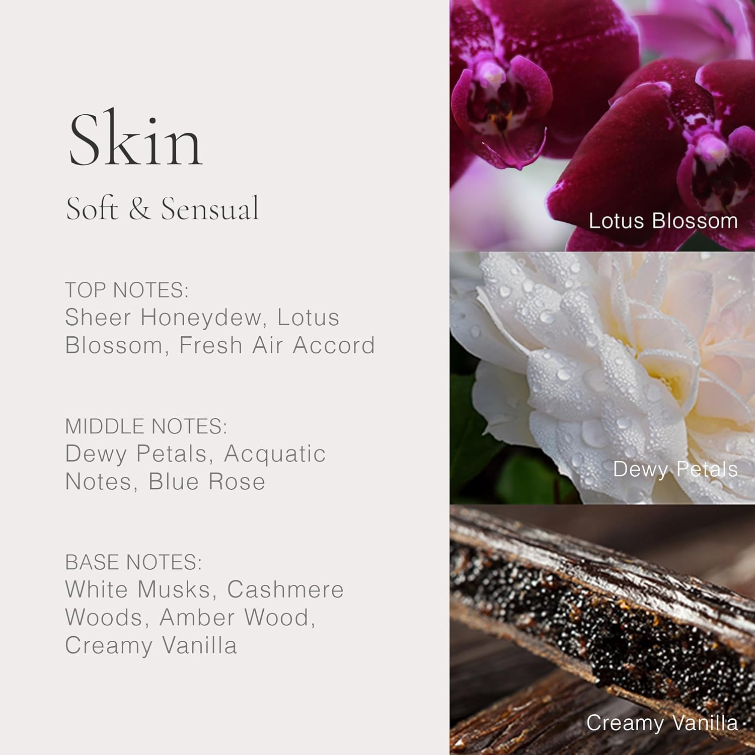 Clean Classic 5X5Ml Sky'S The Limit Gift Set : Beauty & Personal Care