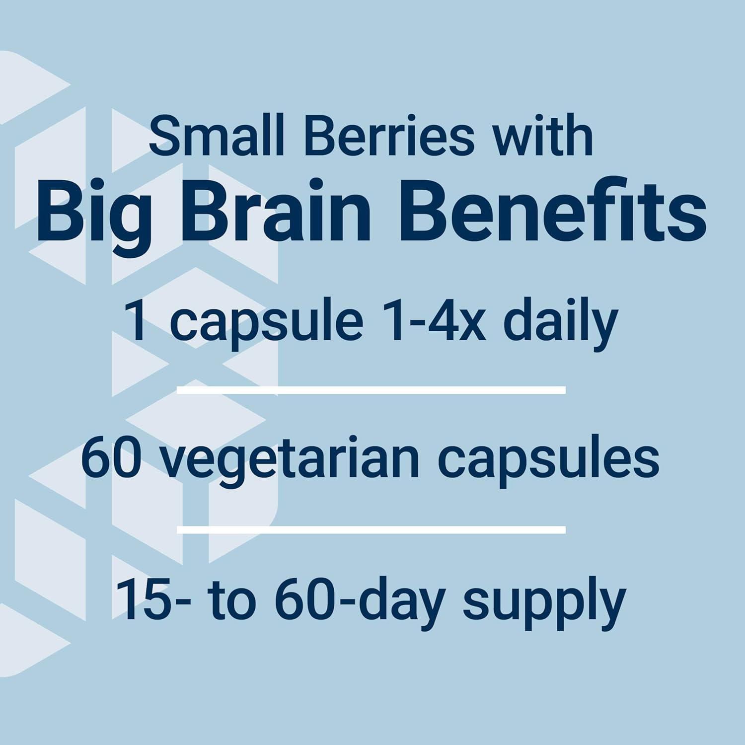 Life Extension Blueberry Extract Capsules - Whole Fruit Wild Blueberry Extract Supplement Pills- For Brain Health Support - Non-GMO, Gluten-Free ,Vegetarian - 60 Capsules : Health & Household