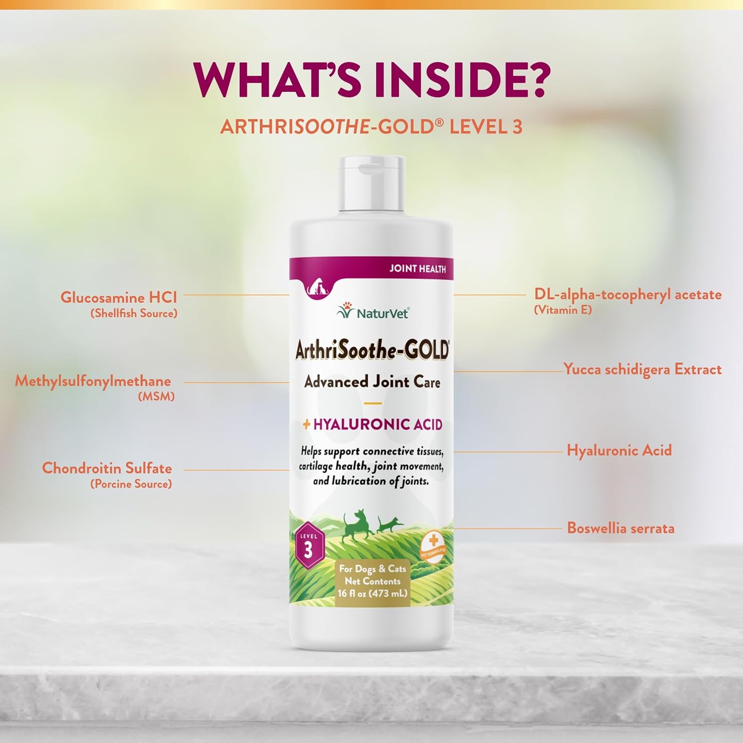 NaturVet – ArthriSoothe-Gold Advanced Care Liquid | Level 3 Advanced Joint Care | Supports Healthy Hip & Joint Function | Enhanced with Glucosamine, MSM & Chondroitin | For Dogs & Cats | 16 oz Liquid : Pet Bone And Joint Supplements : Pet Supplies