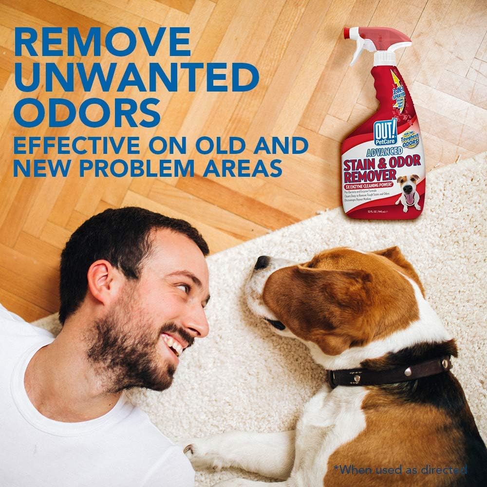OUT! PetCare Advanced Stain and Odor Remover | Pro-Bacteria and Enzyme Formula for Tough Stains and Odor | 32 oz (Pack of 2) : Health & Household