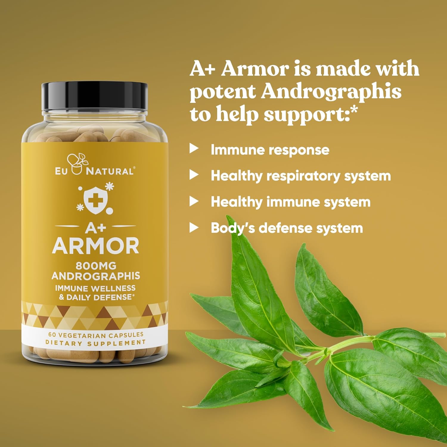 Eu Natural A+ Armor Andrographis Pure 800 Mg – Healthy Immune System Function, Physical Wellness, Potent Strength for Seasonal Protection – Full-Spectrum & Standardized – 60 Vegan Soft Capsules : Health & Household