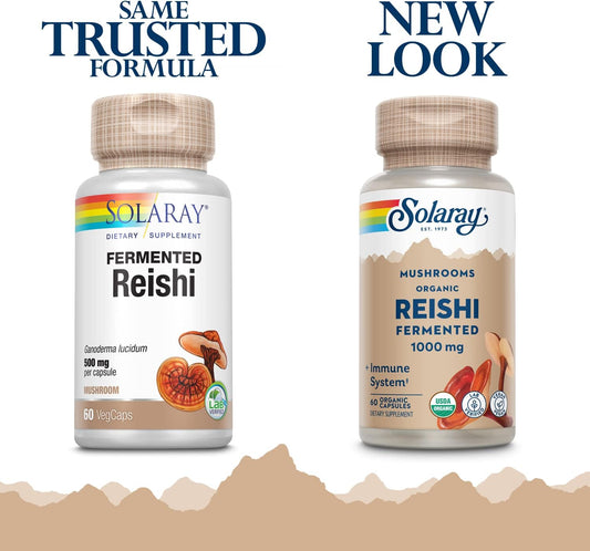 Solaray Fermented Reishi Mushroom 500Mg | Healthy Immune, Heart & Brain Function Support | Energy & Mood Supplement | 60 Vegcaps