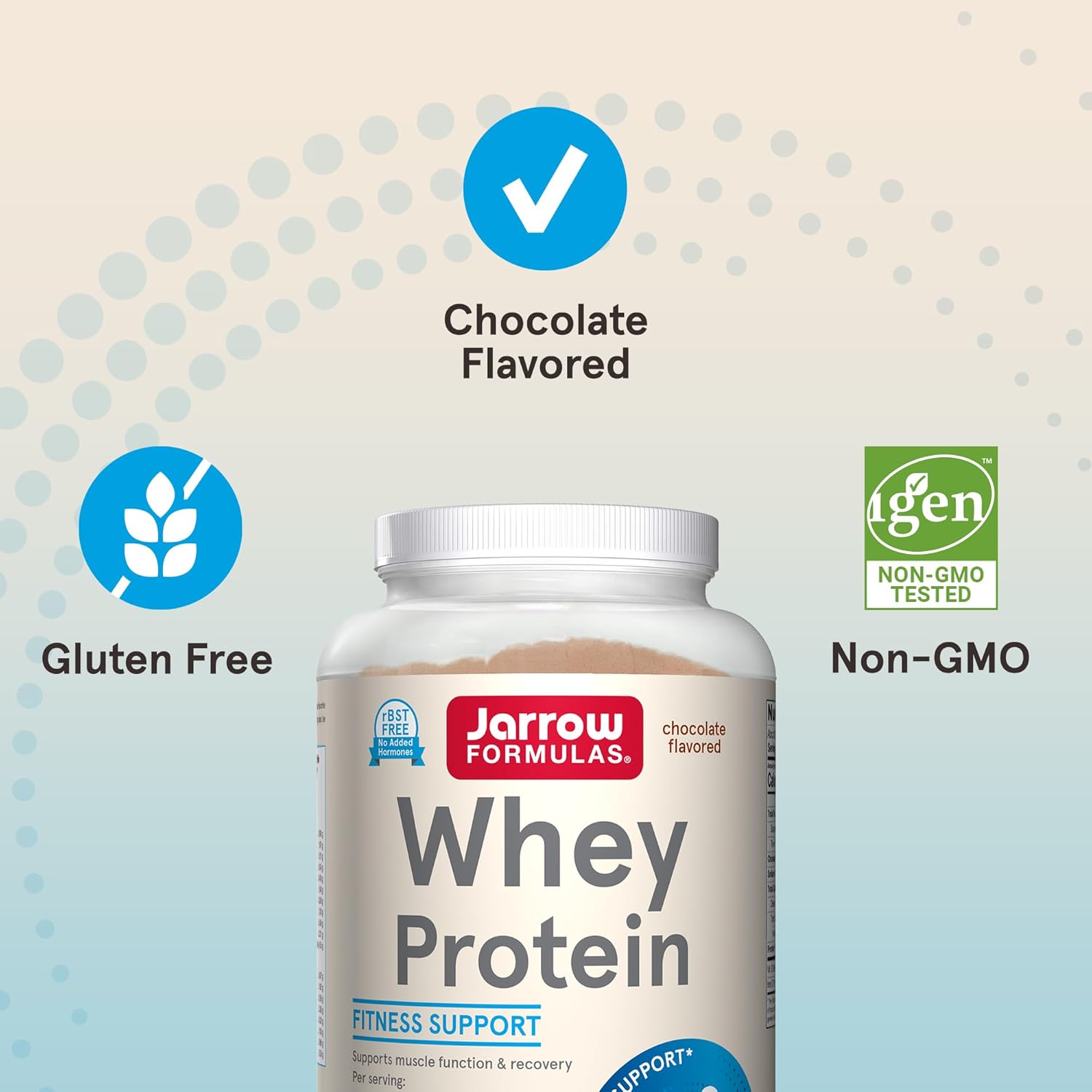 Jarrow Formulas Whey Protein With 18G Of Protein, 3.8G Of Bcaas,& Glutamine, Dietary Supplement For Muscle Function & Recovery Support, 32Oz Chocolate Flavored Powder, Approx. 35 Day Supply, Pack Of 6