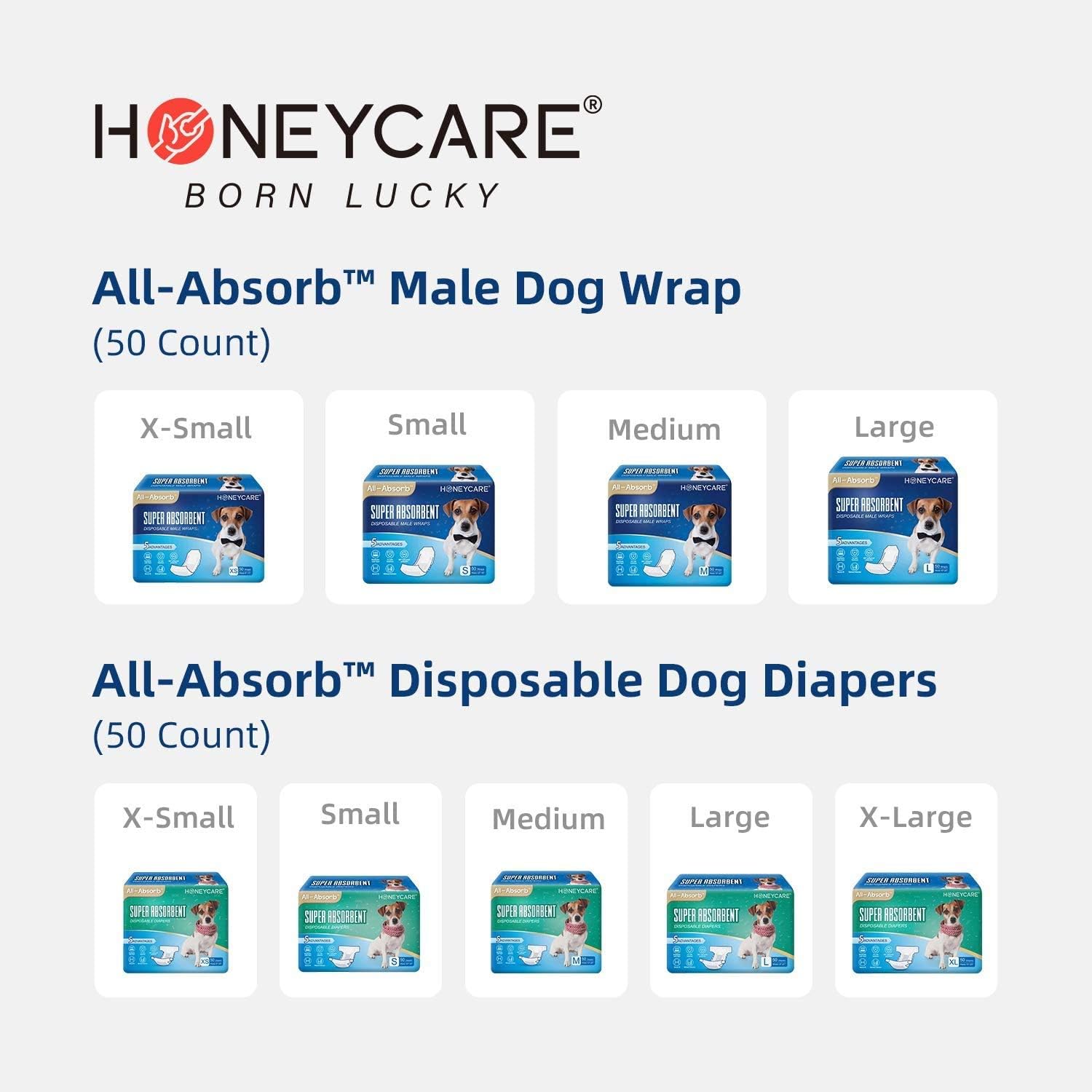 HONEY CARE All-Absorb Puppy Training Pads | Doggie Potty Pads Absorb Eliminating Urine Odor, Ultra Charcoal Dog Pee Pad (Carbon, L 22x23 inch, 100ct) : Pet Supplies