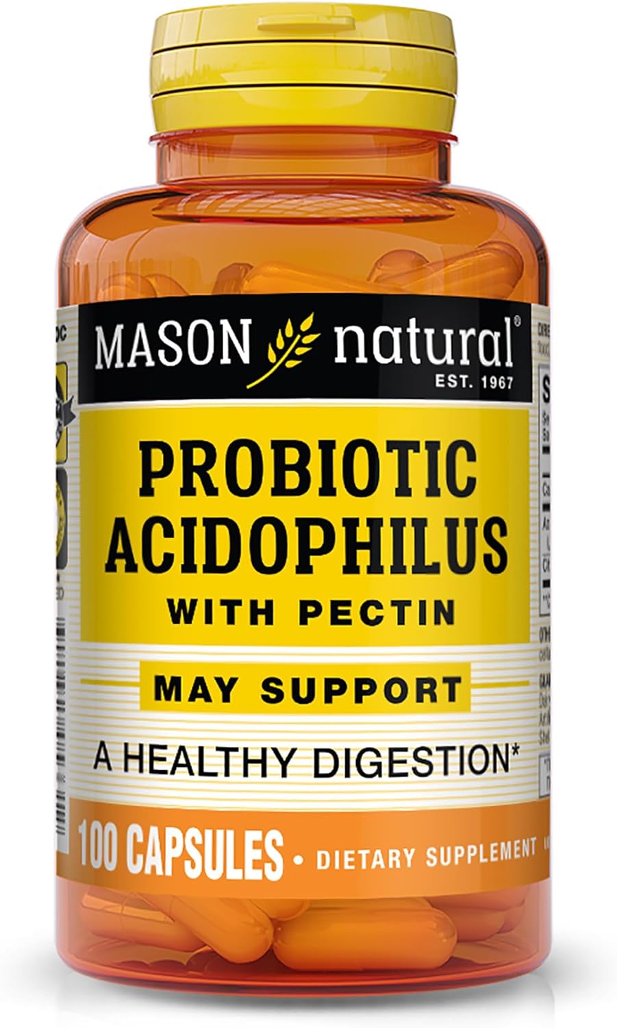 Mason Natural Acidophilus With Pectin Capsules, Digestive Aid - 100 Ea