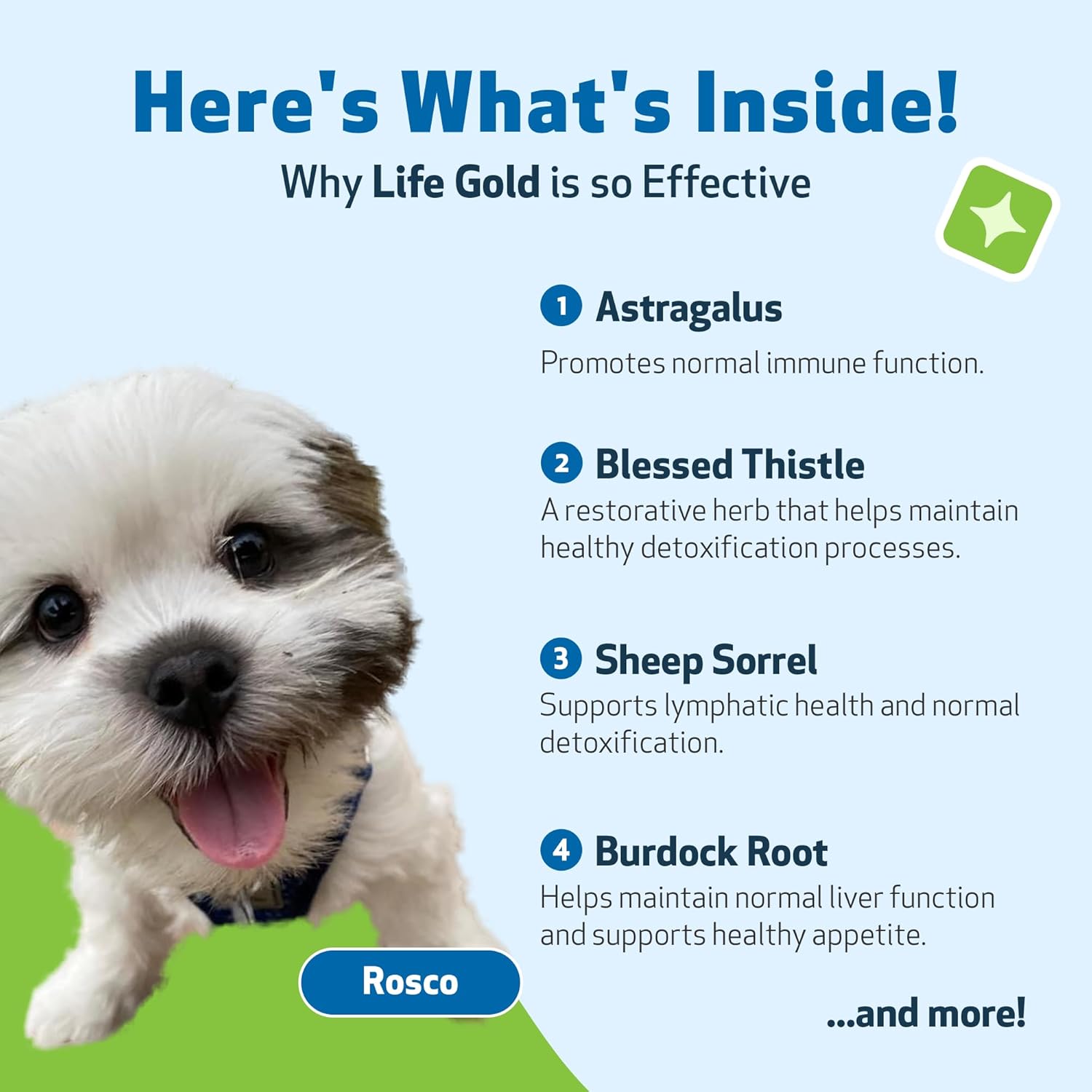 Pet Wellbeing Life Gold for Dogs & Cats - Immune Support, Antioxidants, Detoxification, Cellular Health, Astragalus, Blessed Thistle - Veterinarian-Formulated Herbal Supplement 4 oz (118 ml) : Pet Supplies