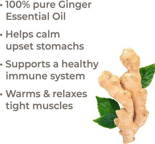 Plant Therapy Ginger Steam Distilled Essential Oil 10 Ml (1/3 Oz) 100% Pure, Undiluted, Natural Aromatherapy