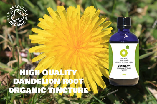 Organic Herbal Remedies, Dandelion Tincture, 100Ml