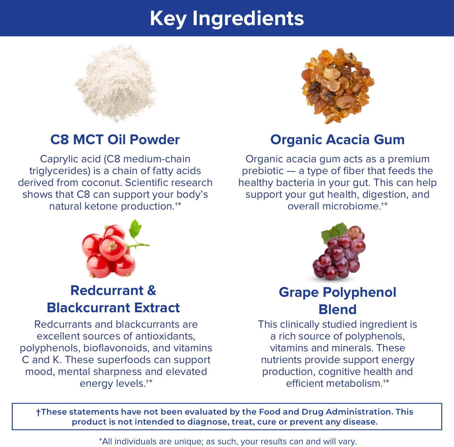 Gundry MD MCT Wellness Powder to Support Energy, Ketone Production and Brain Health, Keto Friendly, Sugar Free (30 Servings) (Raspberry Medley) : Health & Household