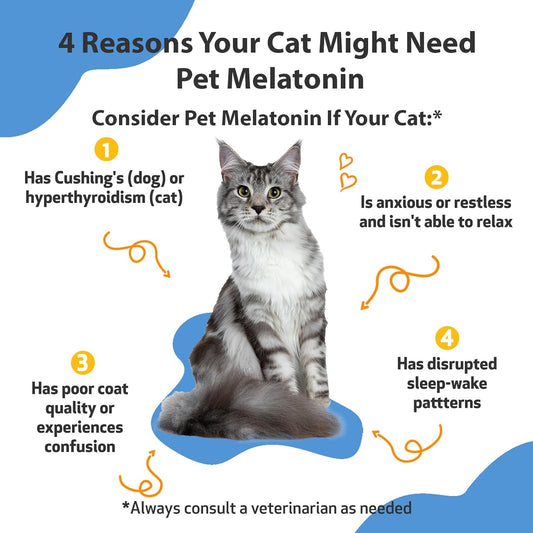 Pet Wellbeing Pet Melatonin For Cats - Vet-Formulated - Support For Feline Hyperthyroid, Natural Relaxant, Sleep Support - Liquid Supplement 2 Oz (59 Ml)
