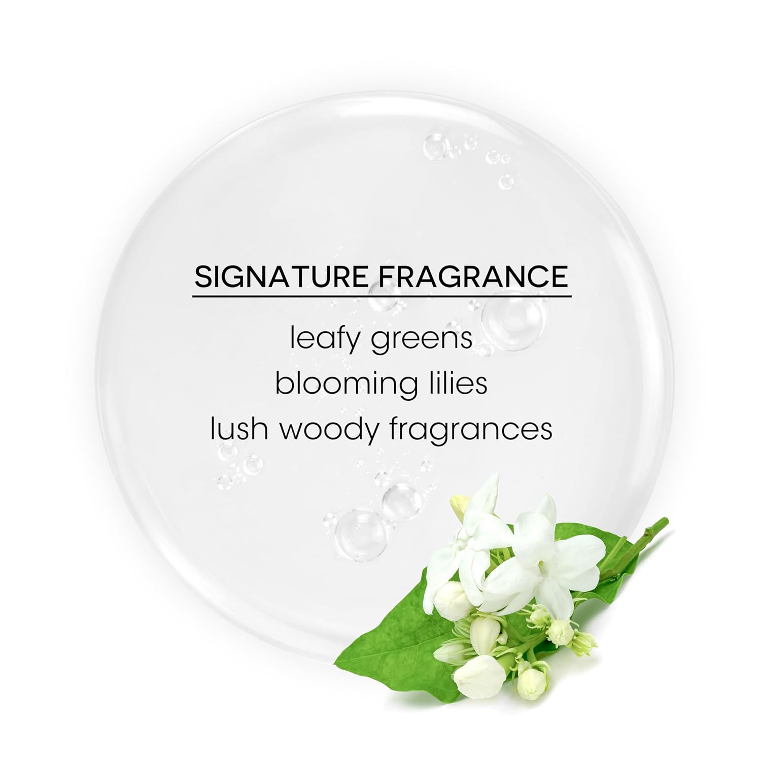 Bain de Terre Recovery Complex Anti-Frizz Silky Shine Reparative Serum | Eliminate Frizz & Create Instant Shine | Argan & Monoi Oils | Paraben Free | Color-Safe | 4.2 Fl Oz : Beauty & Personal Care