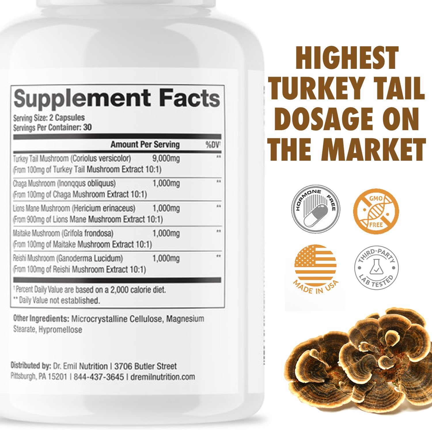 DR. EMIL NUTRITION Turkey Tail Mushroom Capsules - Turkey Tail Mushroom Supplement for Immunity & Gut Health - Elite Formula with Lion's Mane, Chaga, Reishi & Maitake : Health & Household