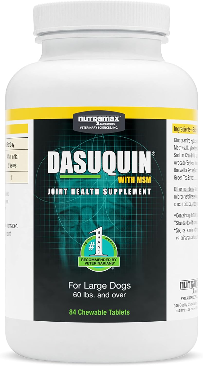 Nutramax Dasuquin With Msm Joint Health Supplement For Large Dogs - With Glucosamine, Msm, Chondroitin, Asu, Boswellia Serrata Extract, And Green Tea Extract, 84 Chewable Tablets