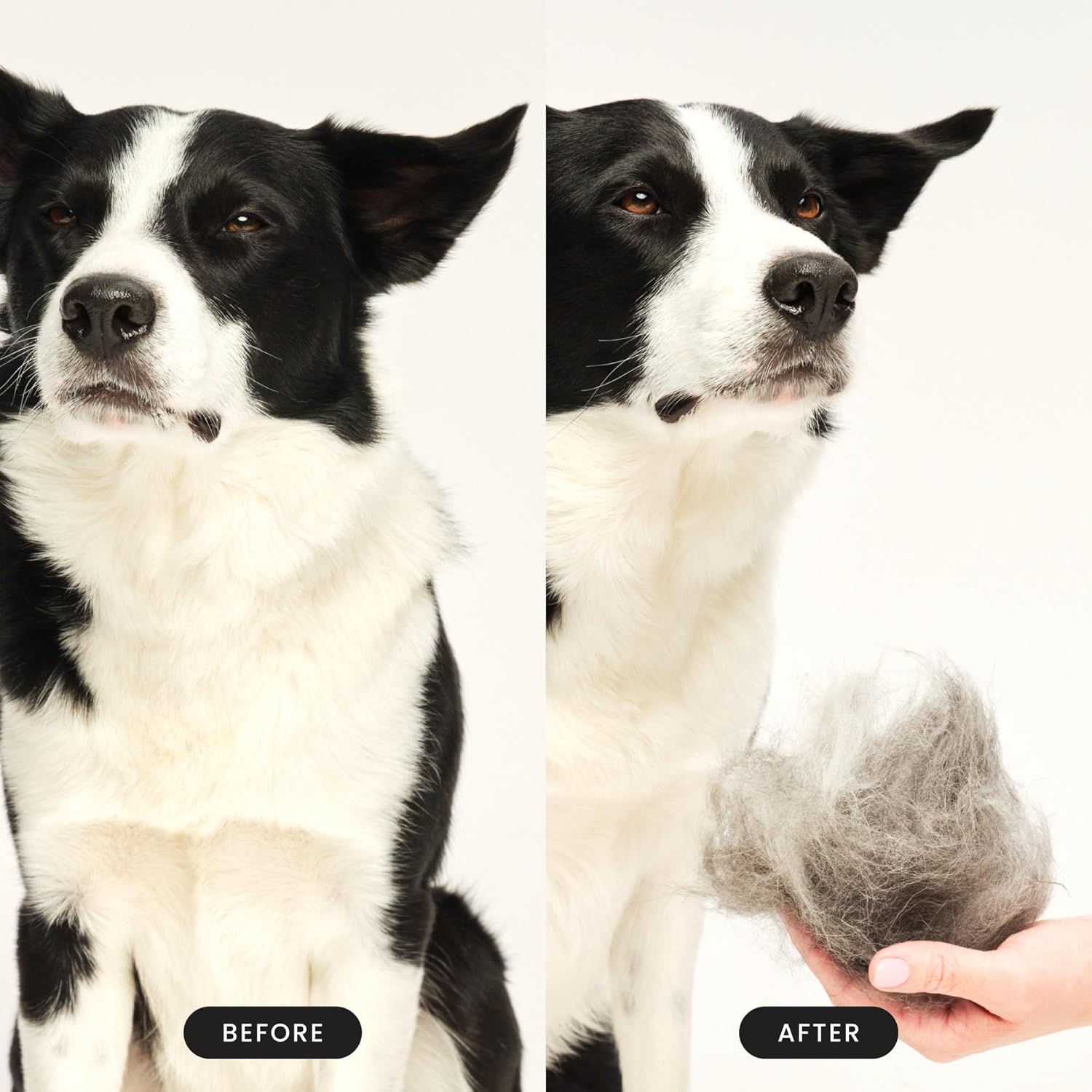 Tangle Teezer Large Pet Teezer De-Shedding Grooming Brush - For Dry Hair or Bath - The Perfect Deshedding Brush for Dogs - Blue & Pink : Amazon.co.uk: Pet Supplies