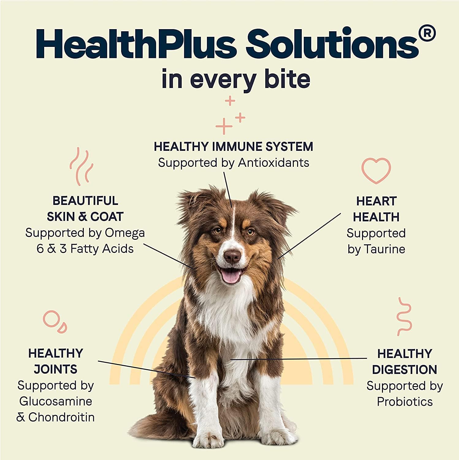 CANIDAE® All Life Stages Multi-Protein Formula Dog Dry 15 lbs. : Pet Supplies