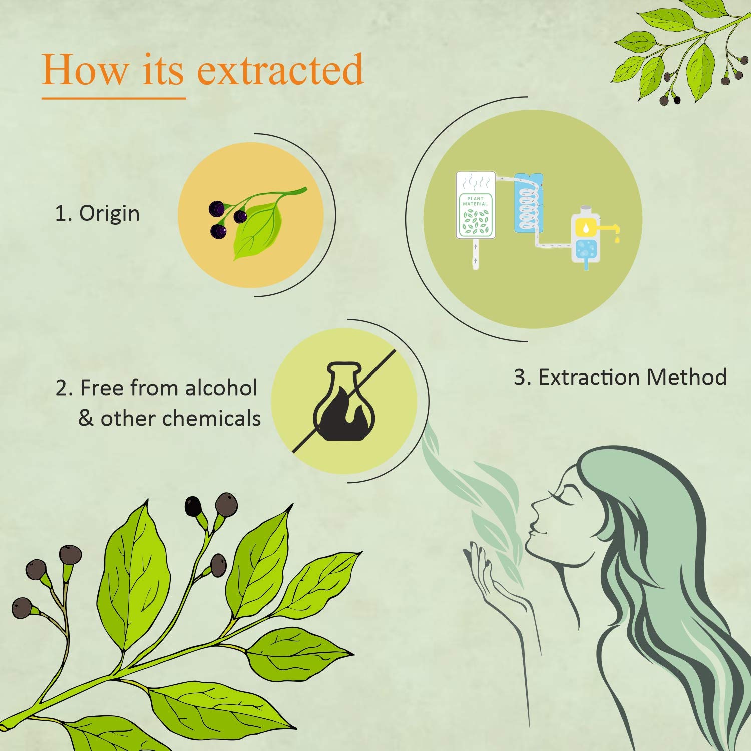 Florona Camphor Oil 100% Pure & Natural - 4 Fl Oz, For Hair, Face & Skin Care, Massage : Health & Household