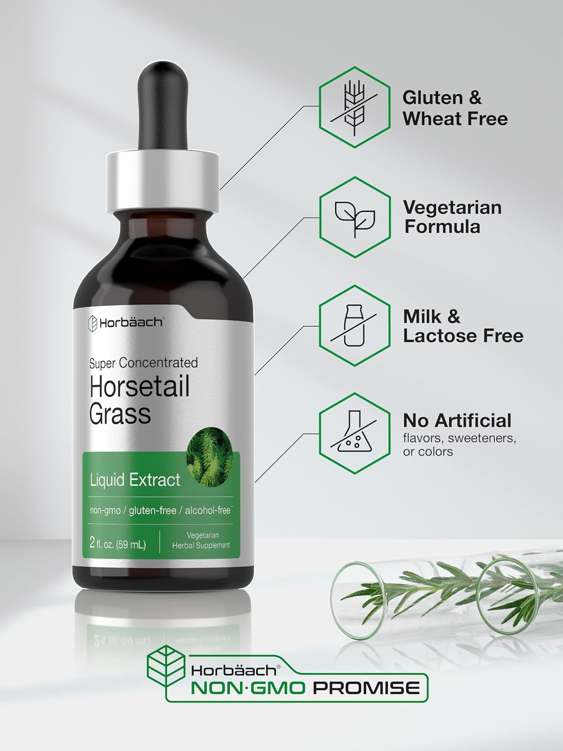 Horbäach Horsetail Herb Liquid Extract | Alcohol Free | 2 fl oz | Vegetarian, Non-GMO, & Gluten Free Supplement : Health & Household