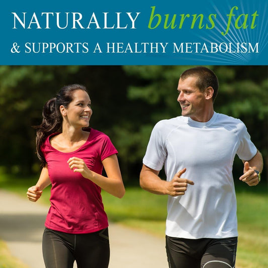 Garden Of Life Fucoxanthin Supplements - Fucothin Diet Pill For Weight Loss, 180 Count