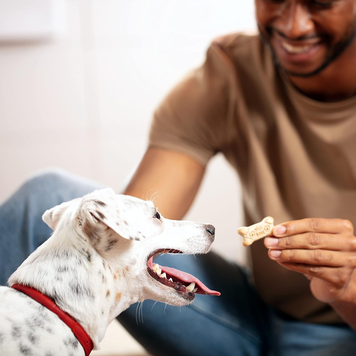 Milk-Bone Original Dog Treats for Medium Dogs, 10 Pound, Crunchy Biscuit Helps Clean Teeth