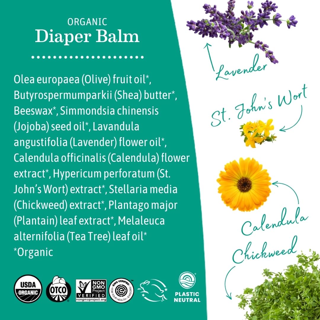 Earth Mama Nipple Butter™ & Diaper Balm | Nipple Cream & Organic Skincare For Baby | Breastfeeding & Postpartum Essentials Bundle : Baby