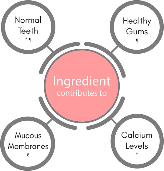 Synbio Premium+ - Dental Health - Tooth & Gum Support | 60 Veggie Capsules | Green Tea Extract, Vitamin D, Calcium As Recommended By Dentists To Support Healthy Teeth, Gums & Mouth | Uk