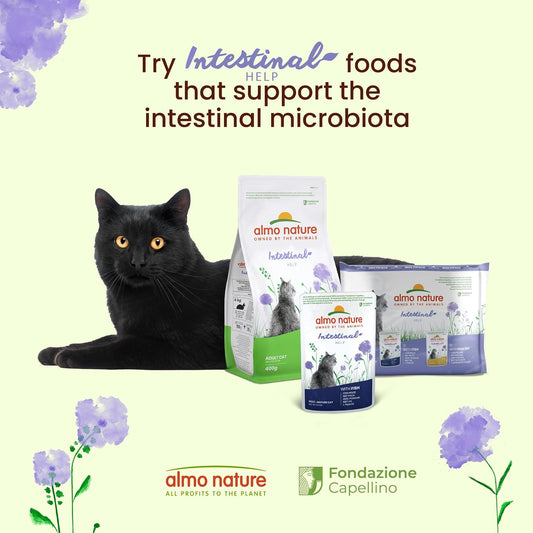 Almo Nature Holistic Digestive Help Wet Cat Food with Poultry 100% of Almo Nature profit goes to nature & Holistic Digestive Help Wet Cat Food with Fish (Pack of 30 x 70g Pouches)