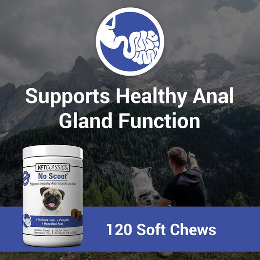 Vet Classics No Scoot Dog Supplements for Healthy Anal Gland Function – Support Normal Bowel Functions, Anal Glands – Increases Daily Fiber Intake for Dogs – 120 Soft Chews