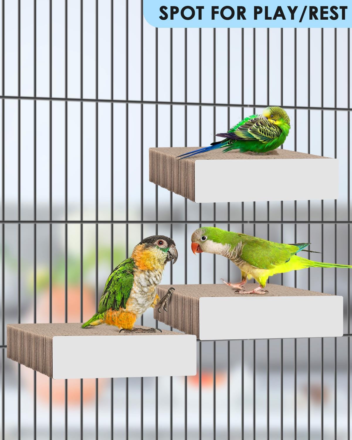 KATUMO Parrot Toys, 7 Inch Conure Shredder Foraging Toys Bird Perch Stand Cardboard Cockatiel Chew Toys for Parakeet Canary Conure Mynah Small Parrots : Pet Supplies