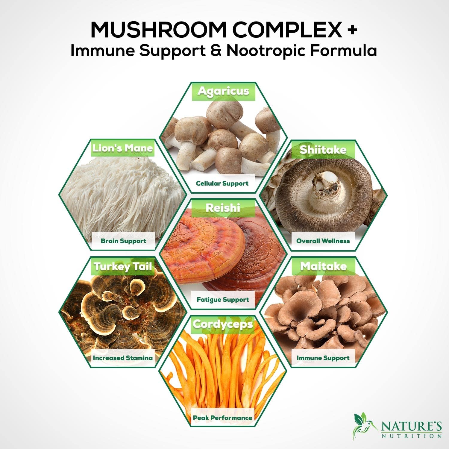 Mushroom Supplement - 10 Mushroom Complex Blend - Lions Mane, Reishi, Turkey Tail, Chaga, Cordyceps, Shiitake, Maitake - Nootropic Brain Supplement, Memory, Focus, Immune Health Support - 60 Count : Health & Household