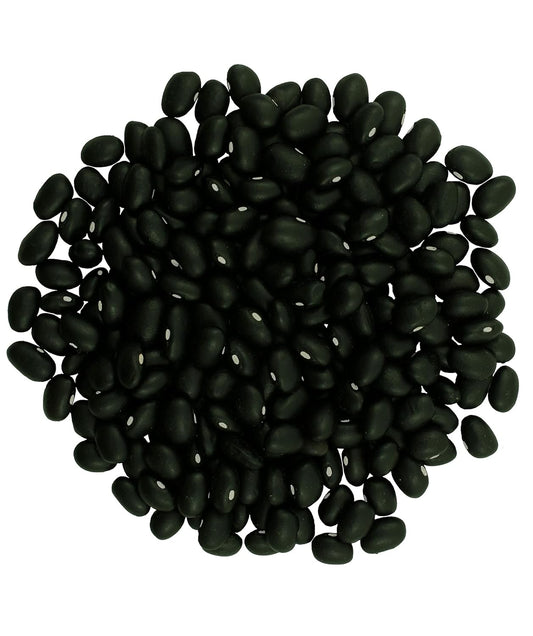 Black Beans | 25 LBS | Emergency Food Storage Bucket | Non-GMO | Vegan | Bulk