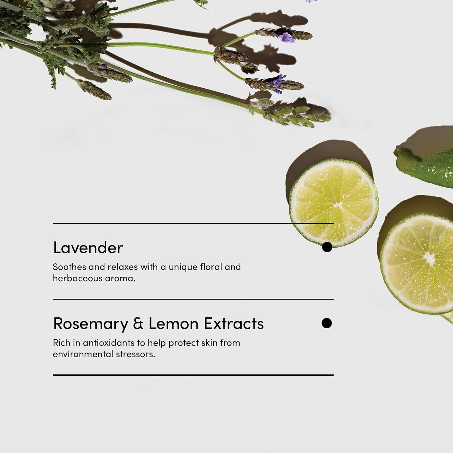 Lather - Lavender Lime Natural Body Wash, 8 Fl Oz - Shower Gel Cleanser - Gentle Body Soap - Essential Oils - Chamomile, Ginseng, Rosemary - All Skin Types, Vegan, Cruelty Free - Beauty & Skincare : Beauty & Personal Care