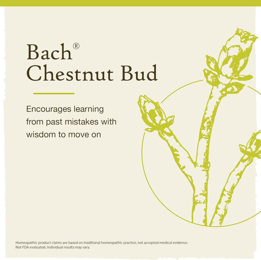 Bach Original Flower Remedies, Chestnut Bud For Learning From Mistakes (Non-Alcohol Formula), Natural Homeopathic Flower Essence, Holistic Wellness And Stress Relief, Vegan, 10Ml Dropper