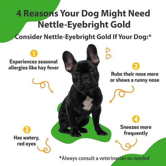 Pet Wellbeing Nettle-Eyebright Gold For Dogs - Vet-Formulated - Seasonal Allergies, Hay Fever, Allergic Rhinitis - Natural Herbal Supplement 2 Oz (59 Ml)