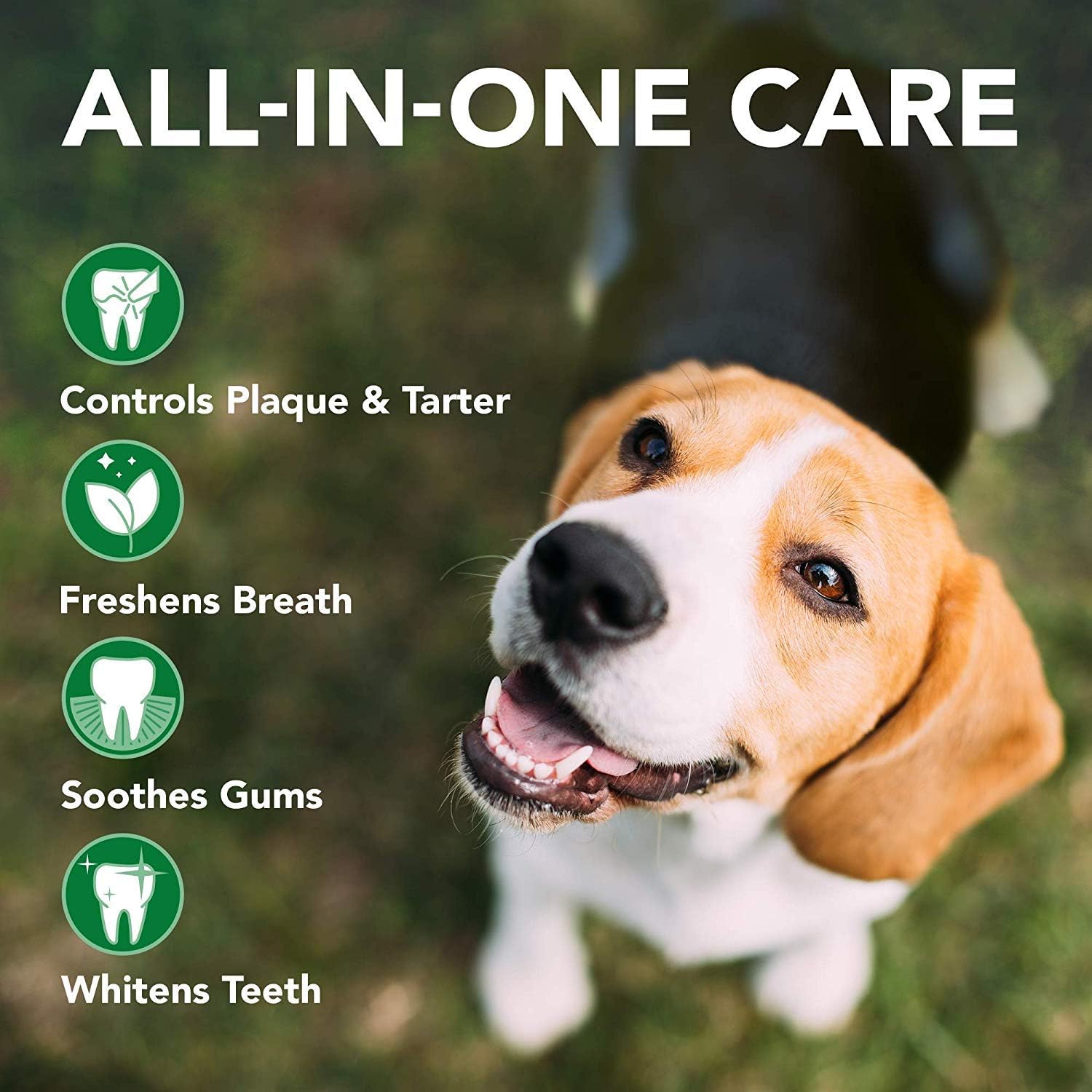 Vet's Best Natural Dental Powder for Dogs | Clean Teeth and Fresh Breath - 90g :Pet Supplies