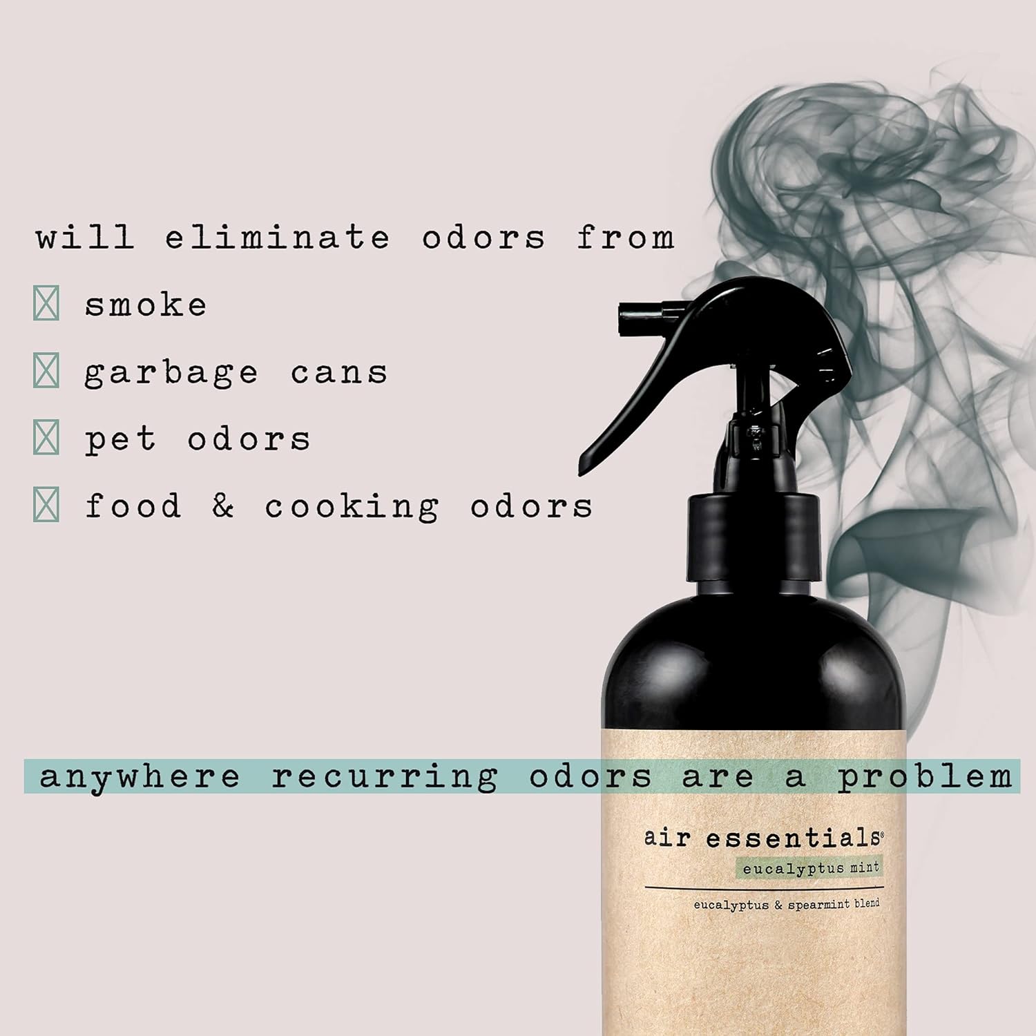 Air Essentials Air Freshener & Odor Eliminator Spray - Made with Pure Essential Oils - Eucalyptus Mint - 12 Ounce - 2 Pack : Health & Household