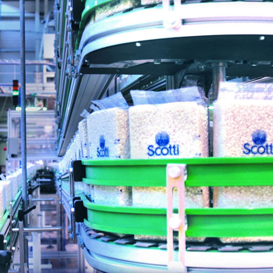 Riso Scotti, Vialone "Nano" Rice for Risotto,1 kg (2.2 lbs) box, Cryovac Bag for ultimate freshness