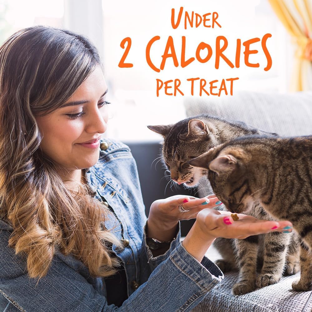 Fruitables Crunchy Treats For Cats – Healthy Low Calorie Treats Packed with Protein – Free of Wheat, Corn and Soy – Made with Real Tuna with Pumpkin – 2.5 Ounces : Pet Supplies