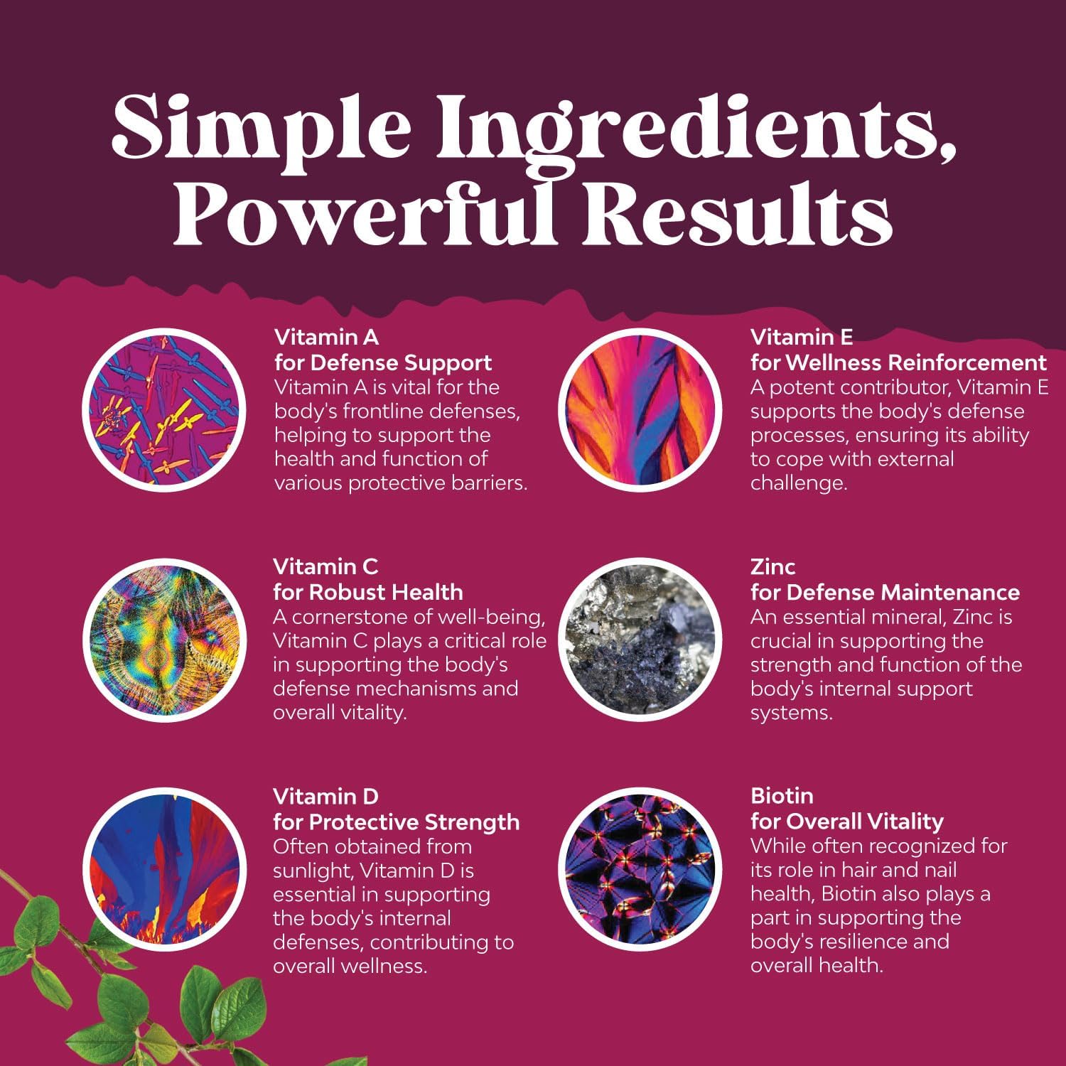 USDA Organic Multivitamin for Women and Men - Vegan Organic Multivitamin for Men Gummies with Zinc & B Complex Vitamins for Enhanced Energy Immunity & Daily Wellness - Vegan and Non-GMO (1 Month) : Health & Household