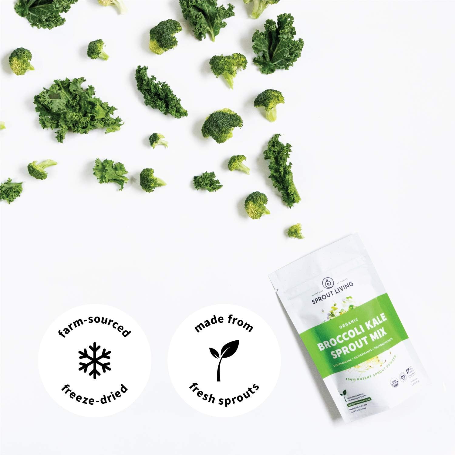 Sprout Living Broccoli and Kale Organic Sprout Mix, Freeze Dried Superfood Greens Powder, 100% Pure, Vegan, Non-GMO, Gluten Free (4 ounces, 32 servings) : Health & Household